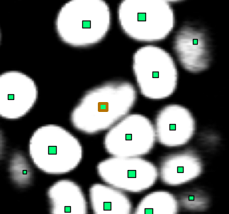 Cell type annotation